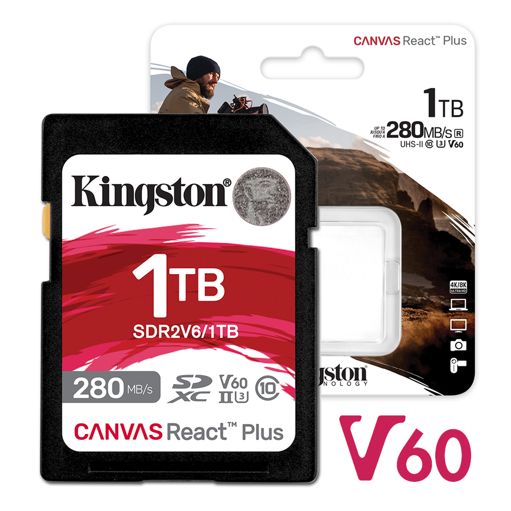 Kingston SD Card, , large