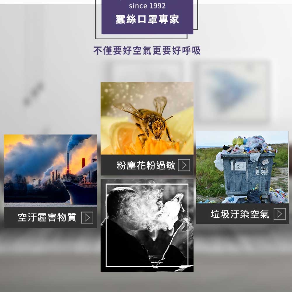 【K's凱恩絲】KF94韓版4D立體透氣蠶絲口罩-鋅離子抗菌/抗病毒布料 (成人專用), , large