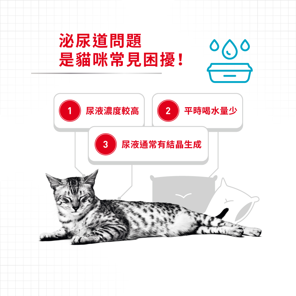 Royal Canin, , large