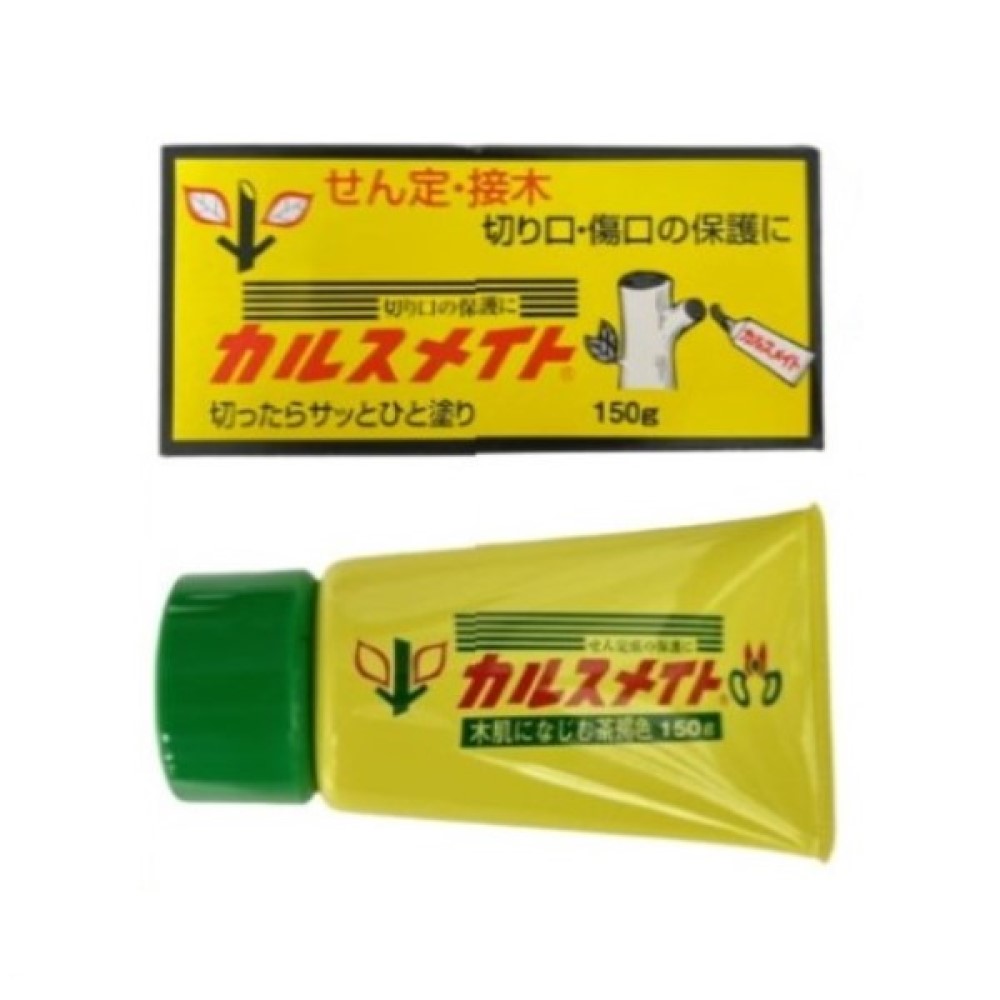 Fuji Healing Paste(Made in Japan) 150g, , large