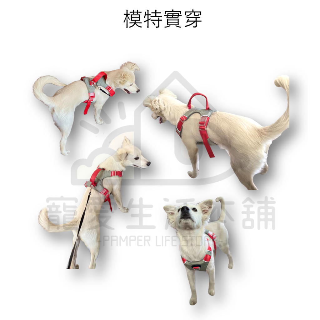 【寵愛生活本舖】中大型犬防爆衝胸背帶 寵物胸背帶 大型犬專用 背心式胸背帶, , large