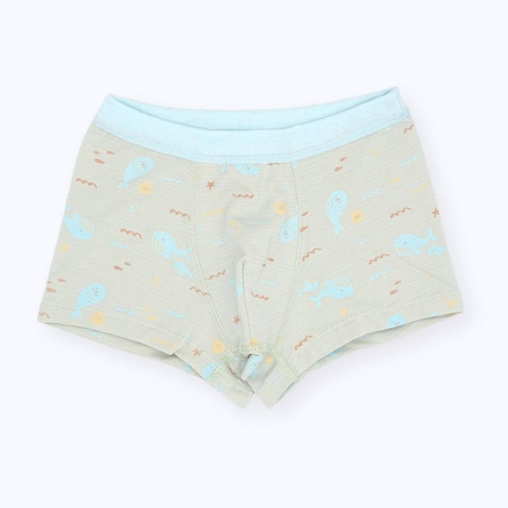 minihope Boys underwear, , large