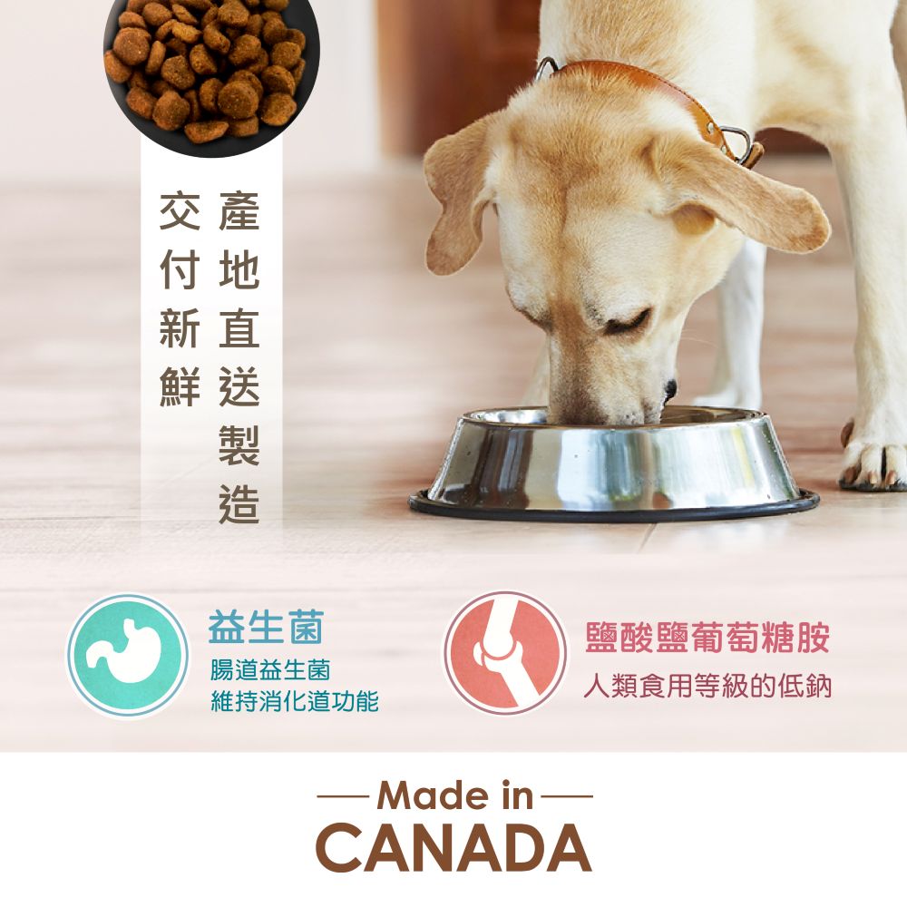 【拉拉寵物小舖】紐崔斯 貓飼料 養生無穀系列 無穀養生成貓(六種魚)2.5公斤, , large