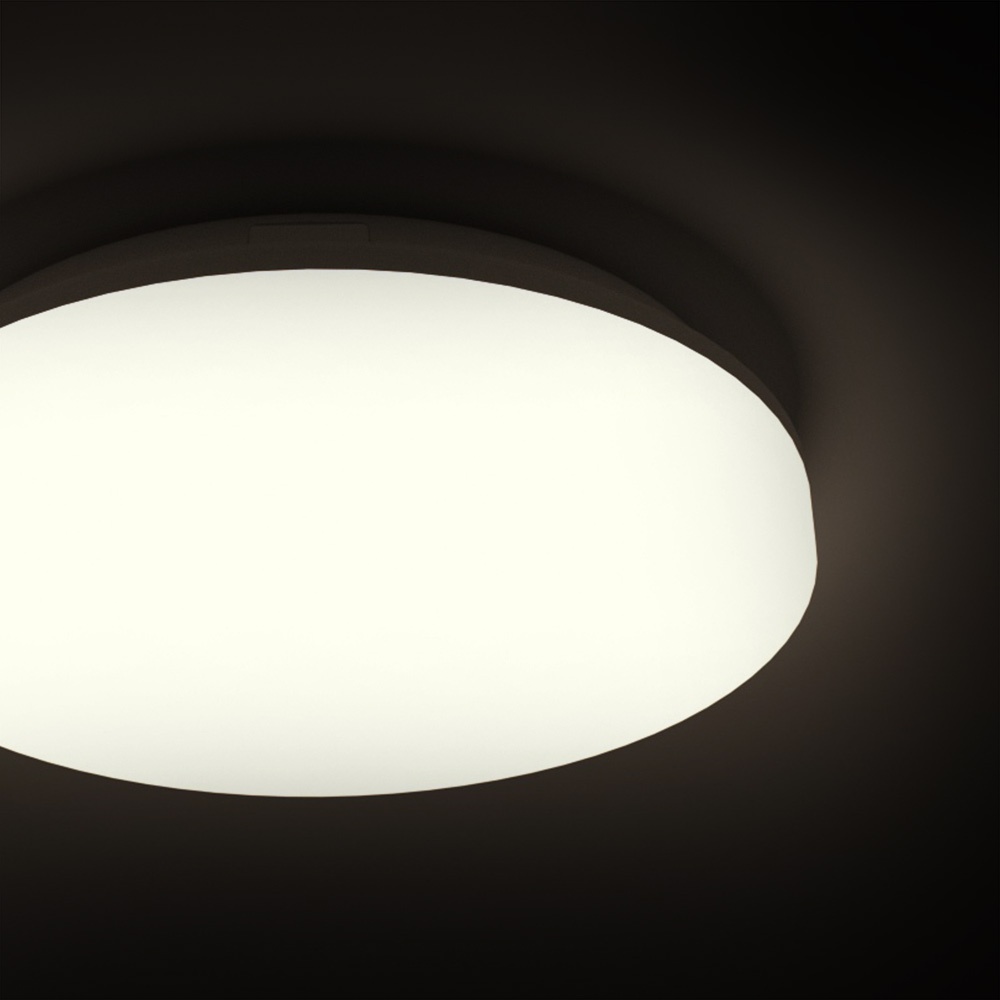 ceiling light, , large