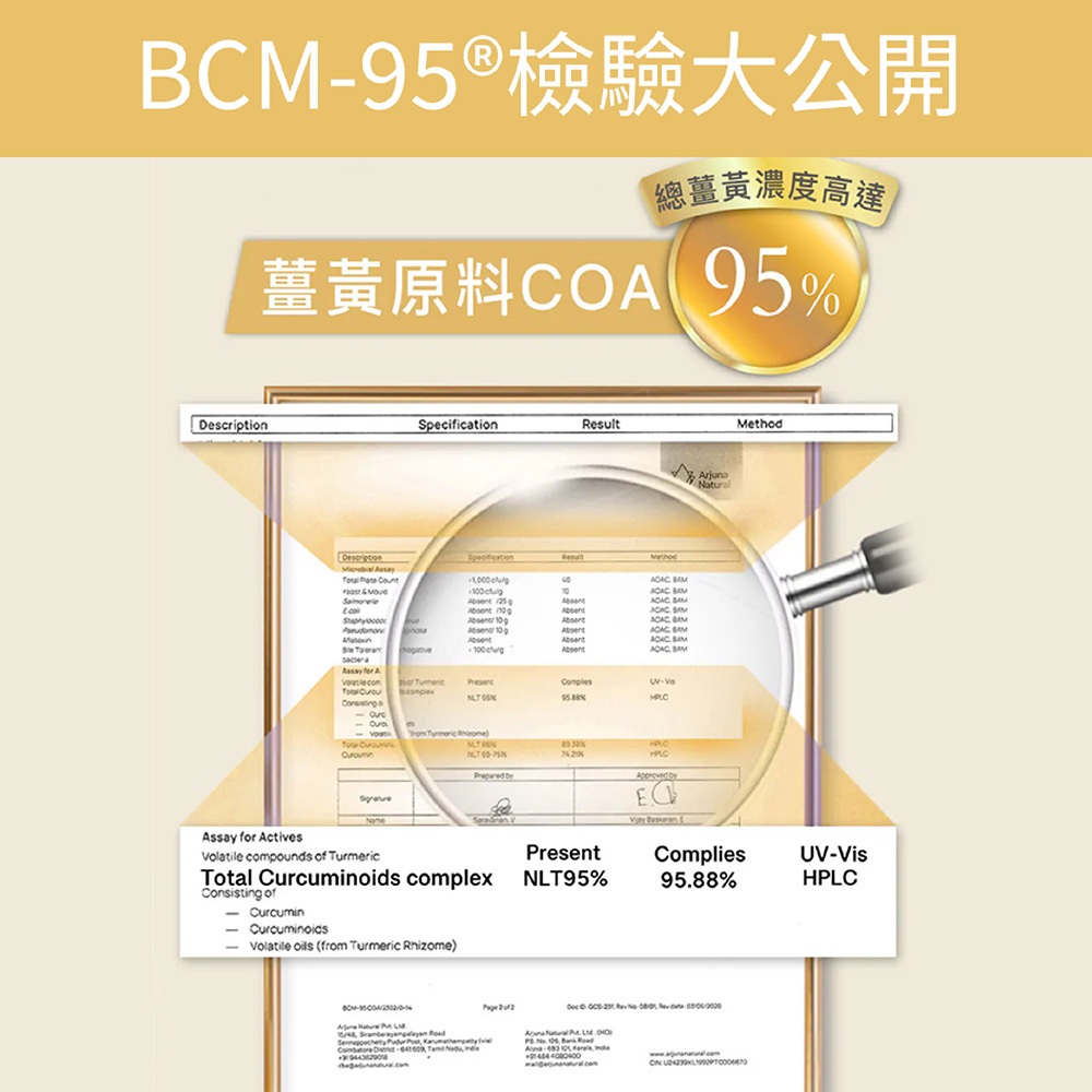 【FJ豐傑生醫】高效能薑黃BCM-95-30顆/盒(滋補強身ｘ病後補養ｘ降火氣), , large