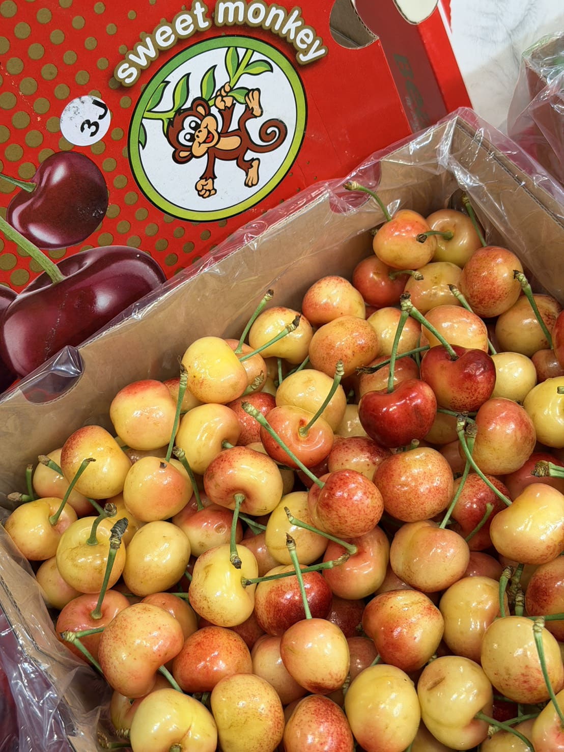 Rainier White Cherry, , large
