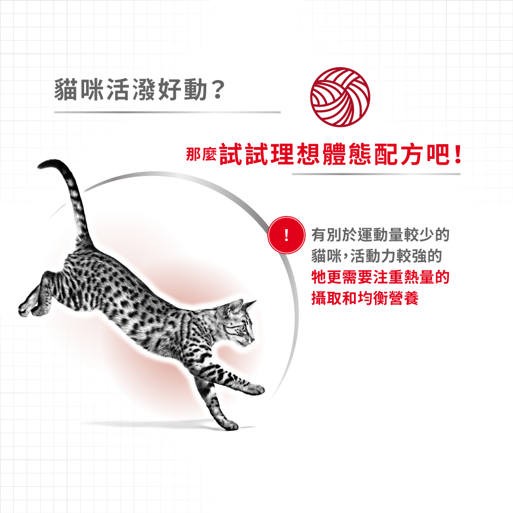 【Royal Canin法國皇家】理想體態成貓F32, , large