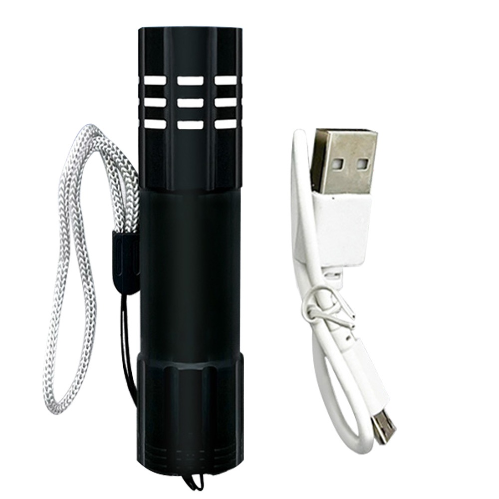 實用牌 PR-A112 實用牌 USB充電式LED手電筒 附充電線 兩段光源模式 體積輕巧 便攜照明, , large