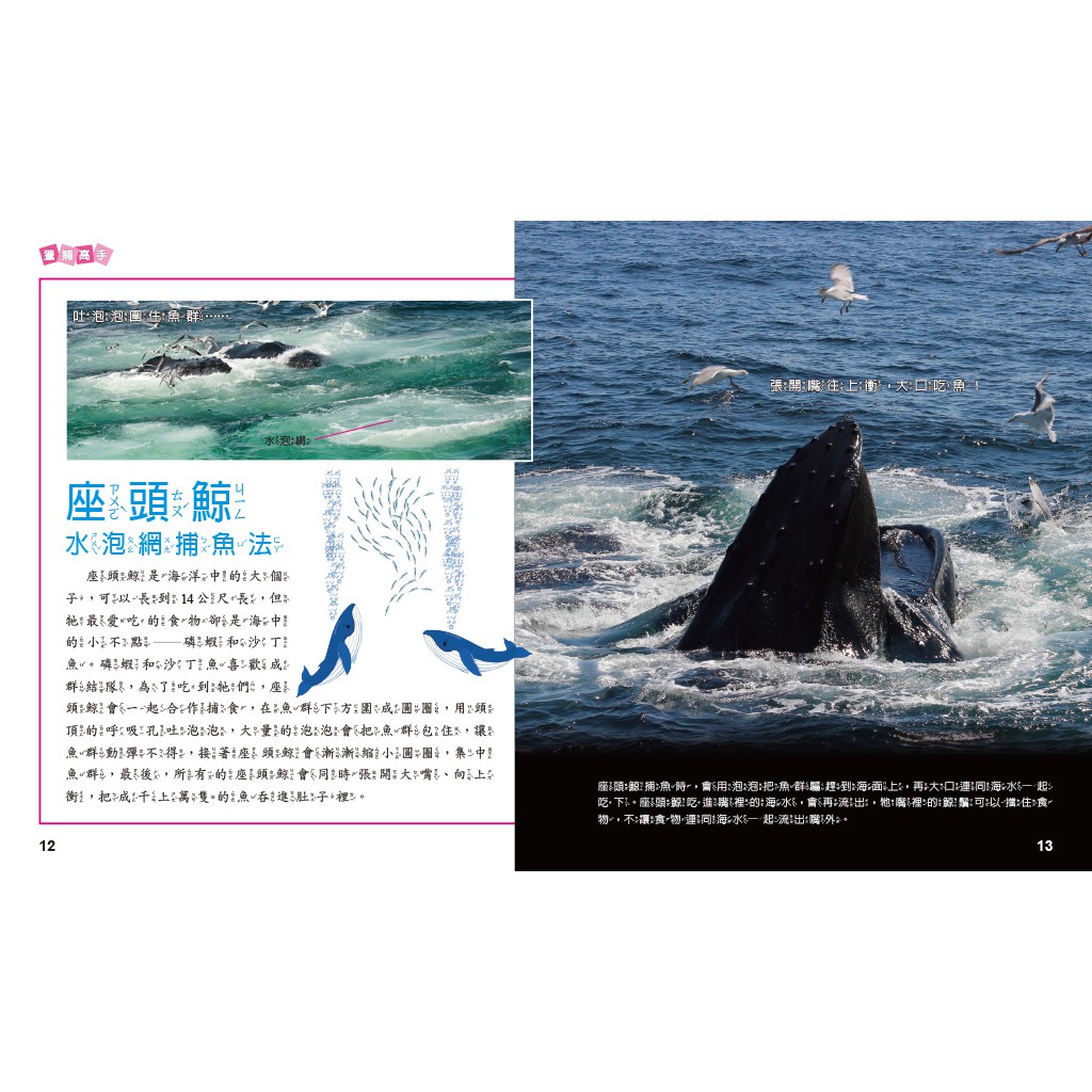 How Animals Live-Eating, , large