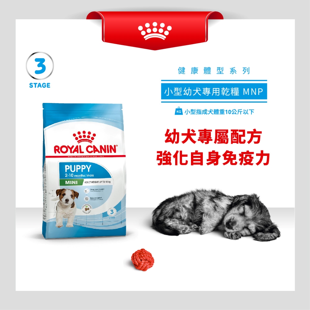 Royal Canin, , large