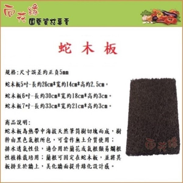 【向花緣】蛇木板 7吋 - 長約33cm*寬約21cm*高約3cm, , large