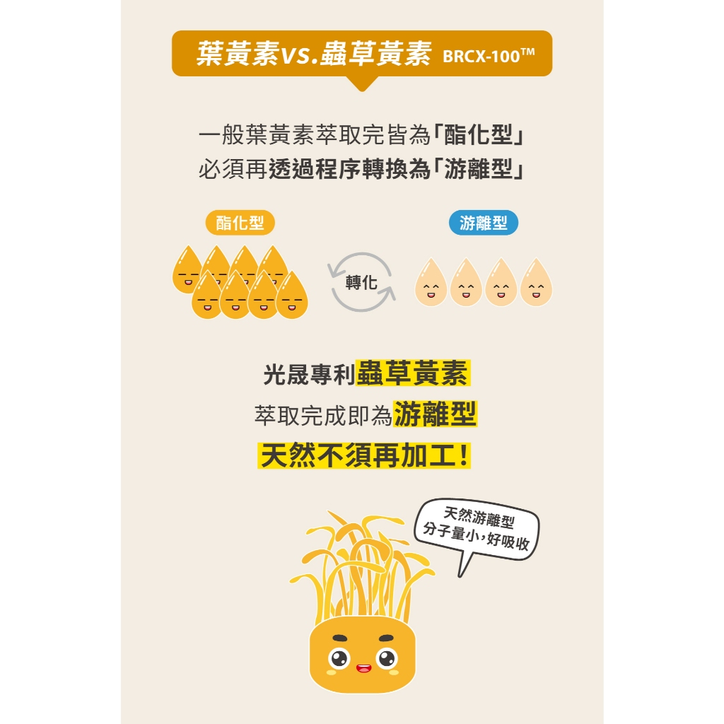 【DR.HSU】視倍利 超越葉黃素10倍能力  30顆/盒, , large