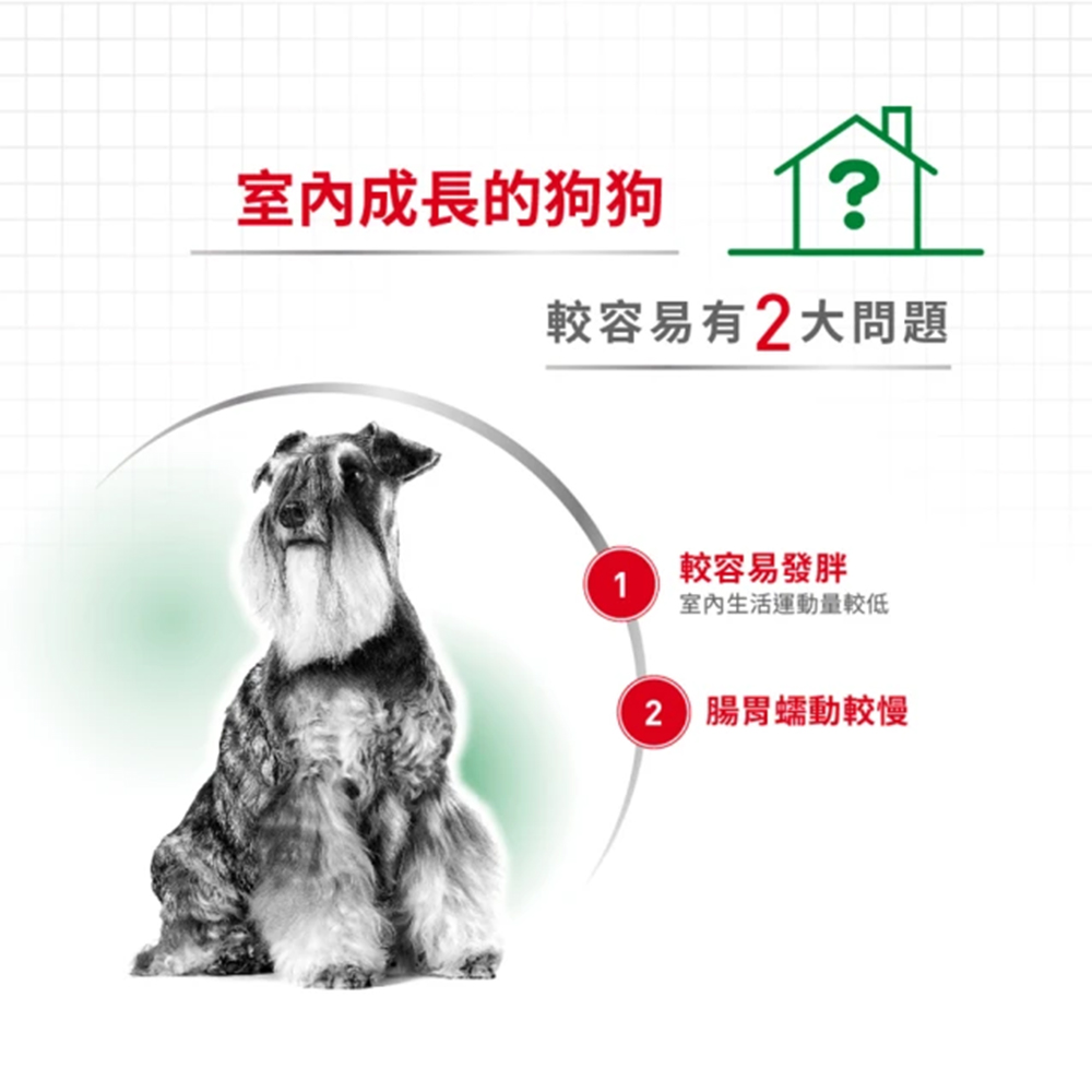 【Royal Canin法國皇家】小型室內成犬MNINA, , large