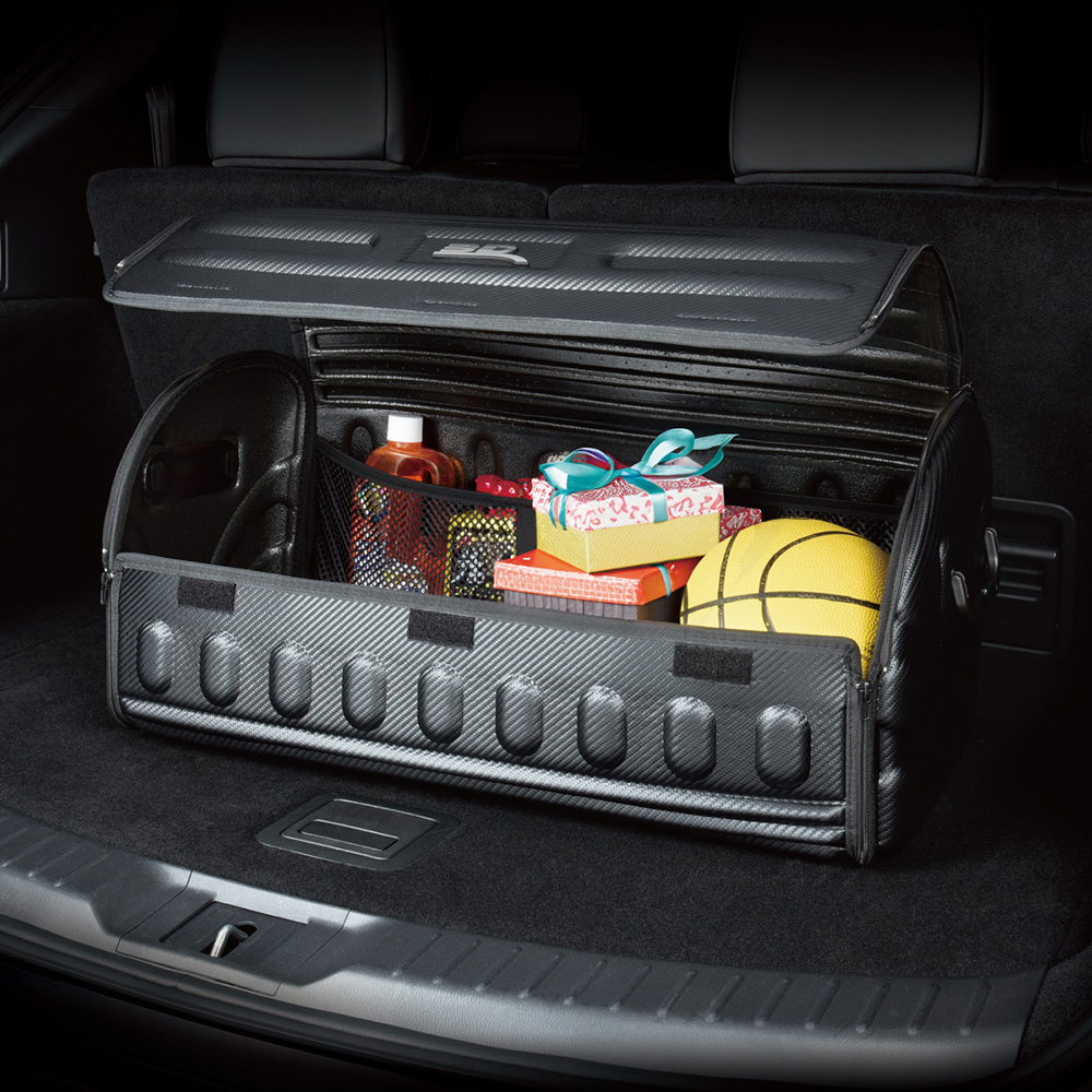 CARBON HANDY TRUNK, , large