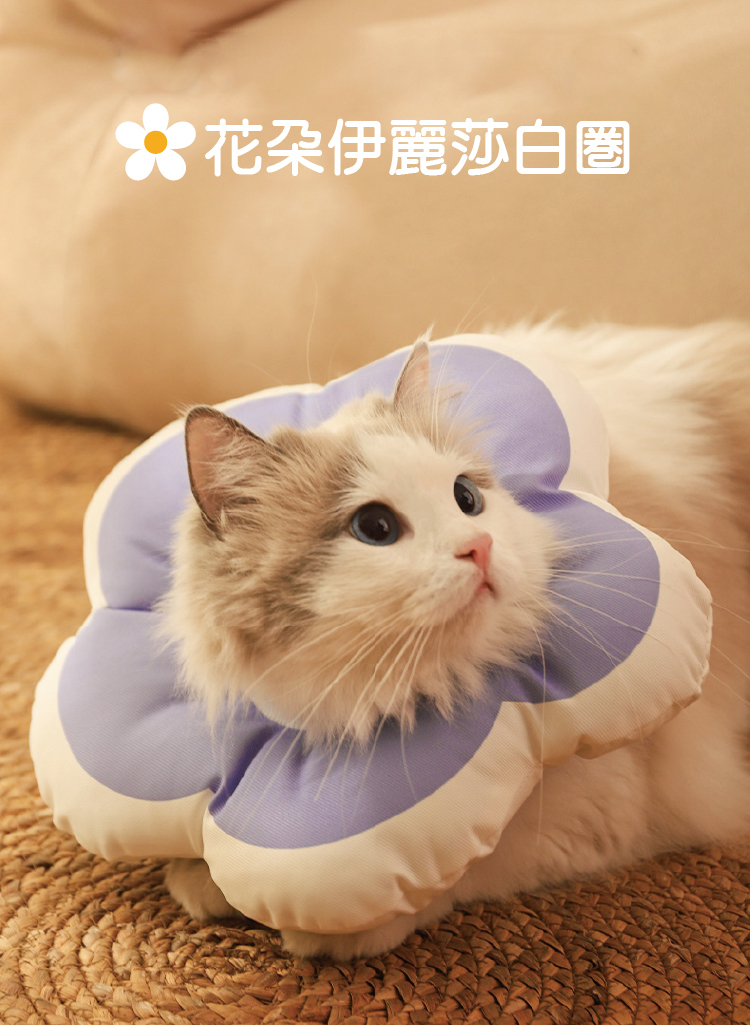 小花伊麗莎白圈 芋泥紫 寵物頸圈 絕育圈 防舔頭套, , large