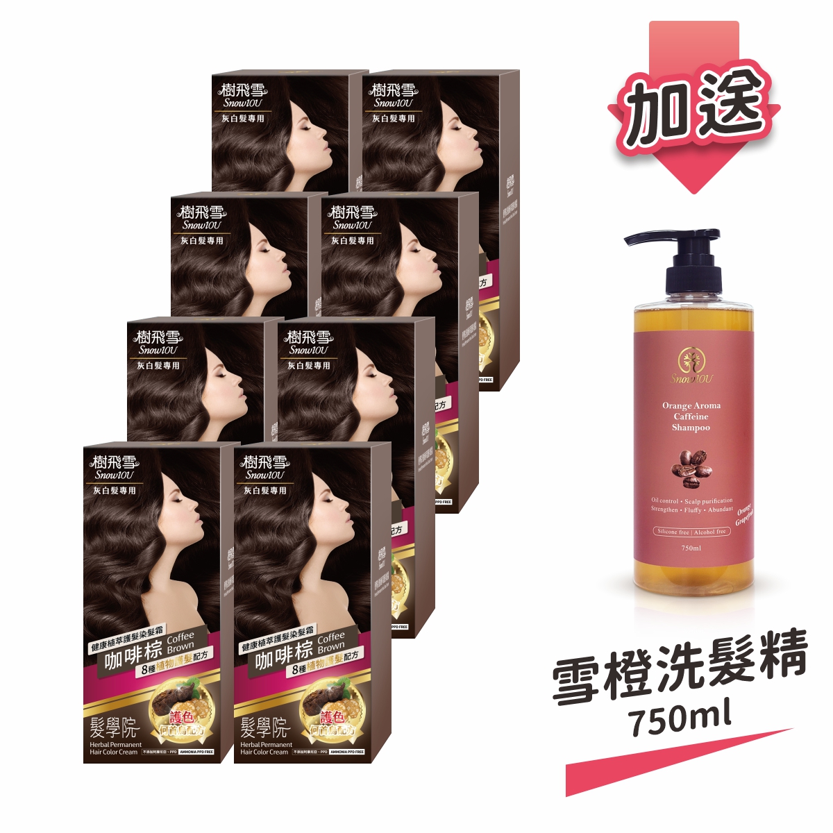 【樹飛雪】8入組 髮學院染髮劑 環保簡易包(灰白髮專用 咖啡棕) 加送 雪橙蓬鬆咖啡因洗髮精750ml (家庭號)