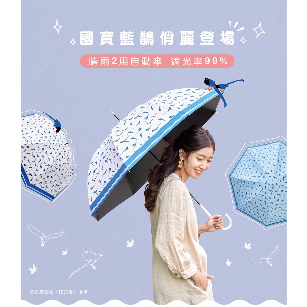 【周周生活】雨傘 現貨 自動傘 遮陽傘 陽傘 台灣藍鵲 直傘 晴雨傘 抗uv 傘 輕量雨傘 wpc傘 日本雨傘 快速出貨, , large