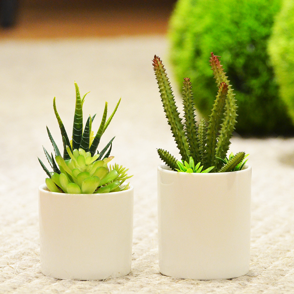 【YU Living】 迷你仿真多肉盆栽 人造盆栽, , large