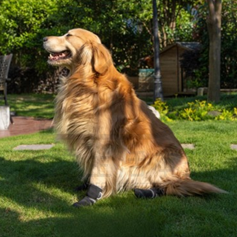 【寵愛生活本舖】寵物防潑水高筒運動鞋 狗鞋 大狗鞋 小狗鞋 犬鞋 寵物鞋, , large