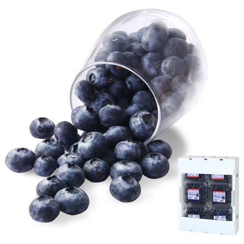 Imported Blueberry, , large