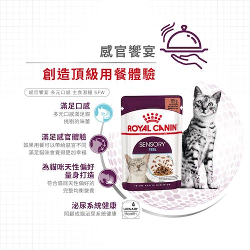 Royal Canin, , large