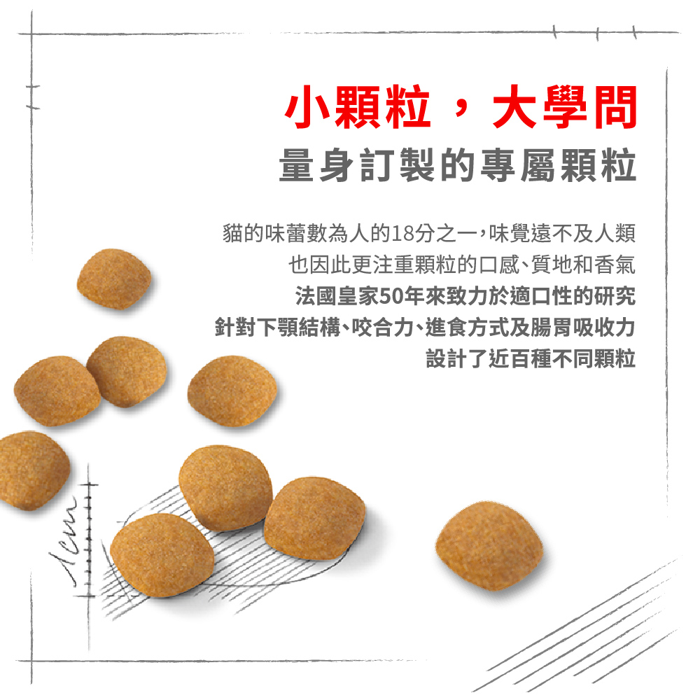 【拉拉寵物小舖】法國皇家 貓飼料 E42 挑嘴成貓營養滿分乾糧 4公斤, , large