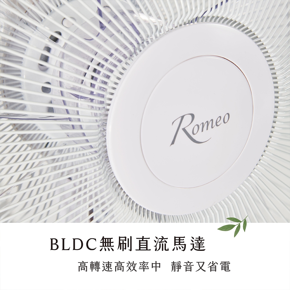 【羅蜜歐 ROMEO】 14吋大踏板DC遙控立扇, , large