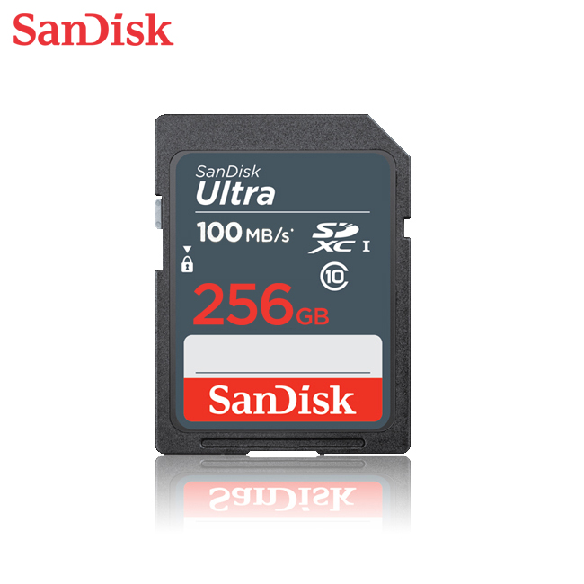 SanDisk Ultra 256G UHS-I C10 SD SDXC