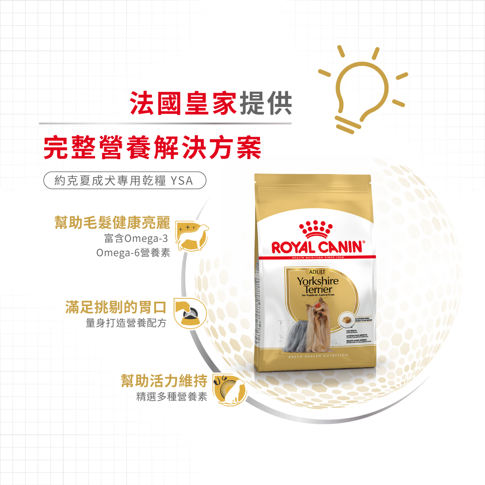 【Royal Canin法國皇家】約克夏成犬YSA, , large