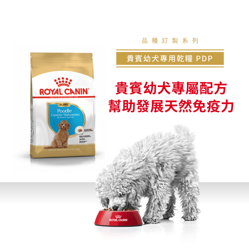 【Royal Canin法國皇家】貴賓幼犬專用乾糧PDP, , large