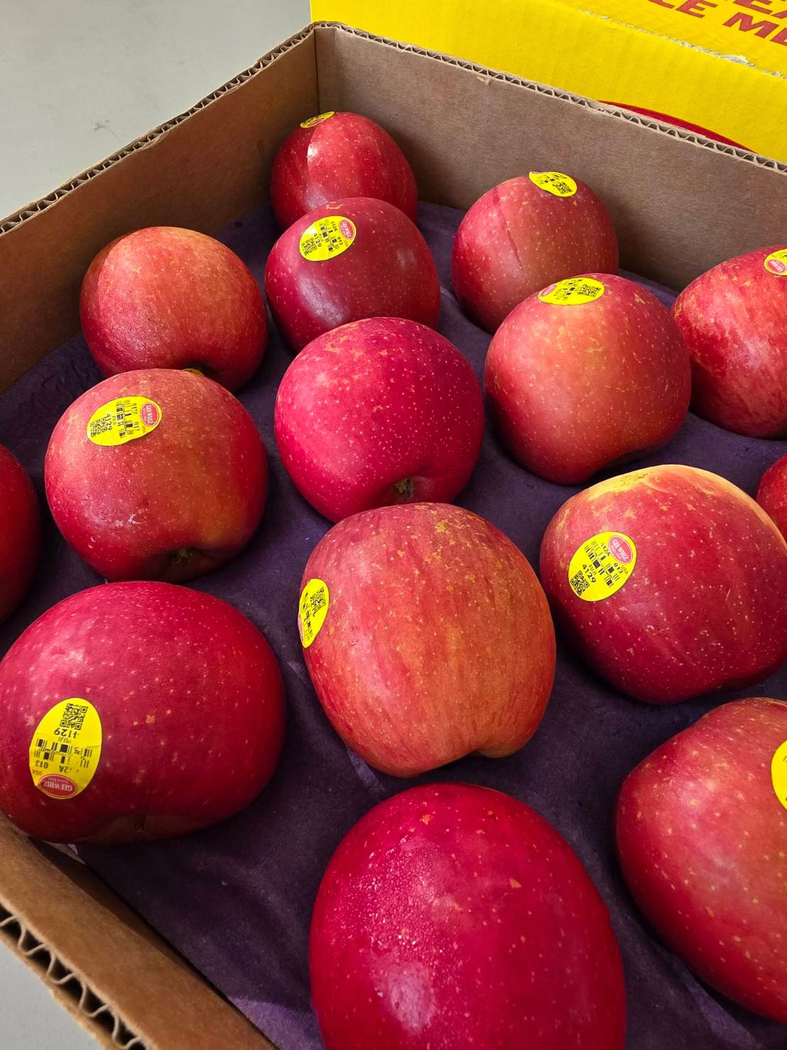 [芯鮮果]美國進口( 蜜富士蘋果113A ), , large