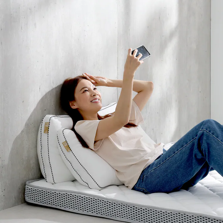 silver-ion-spring-pillow, , large