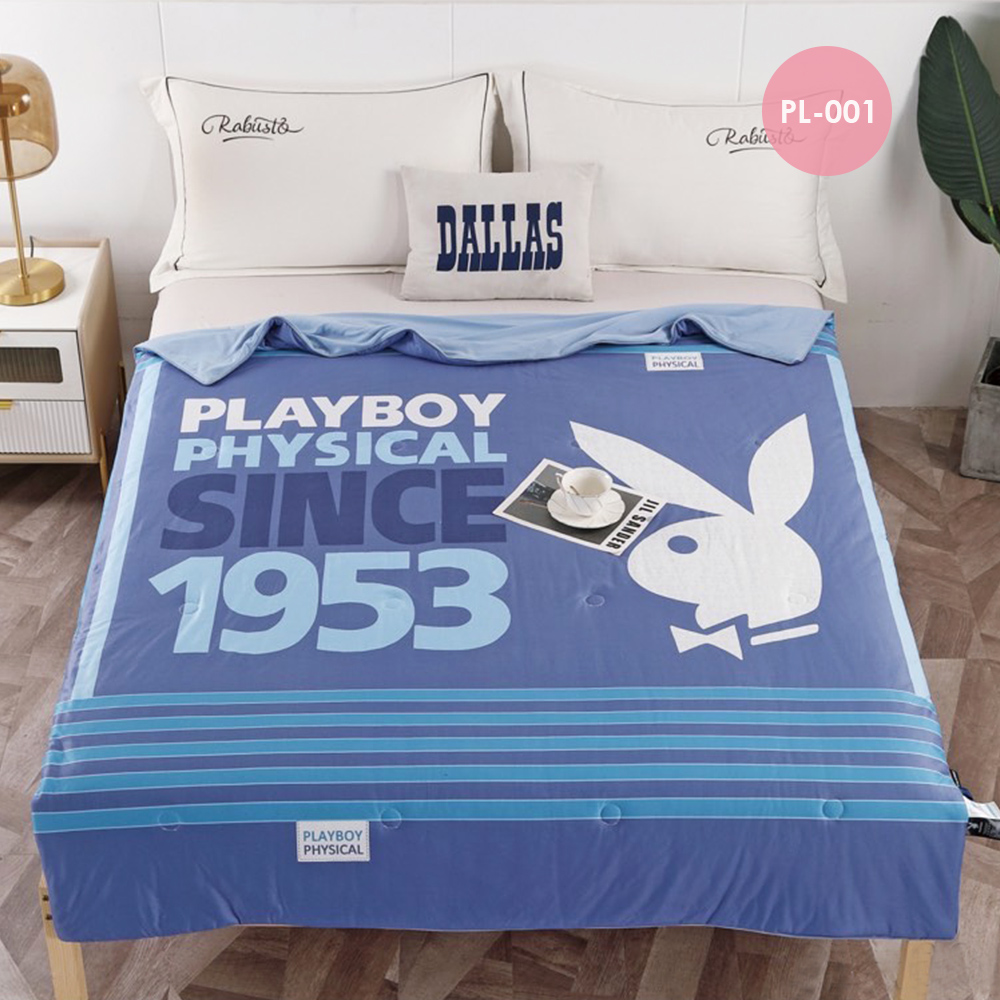 【PLAY BOY】膠原蛋白涼感冰冰被 2入(涼被/涼感被/冷氣毯)PL-001, , large