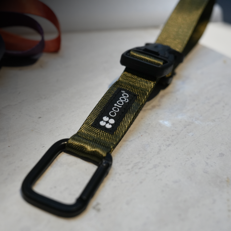 [cctogo]多功能掛釦 蕨綠, , large