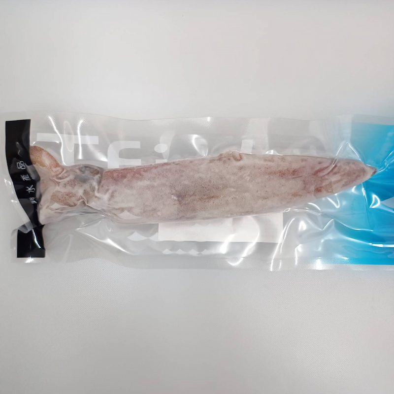 Neritic Squid, , large