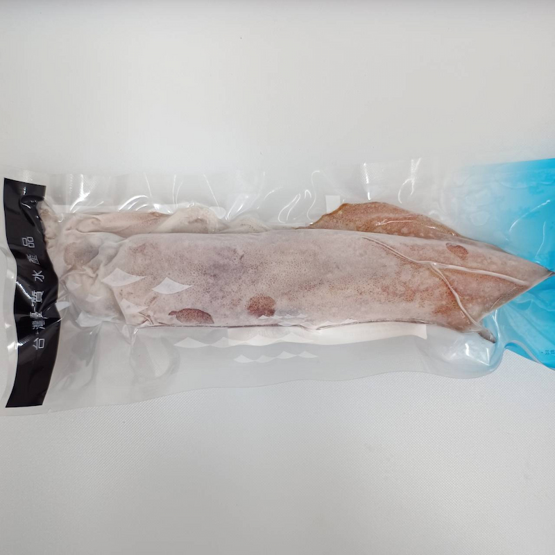 Neritic Squid, , large