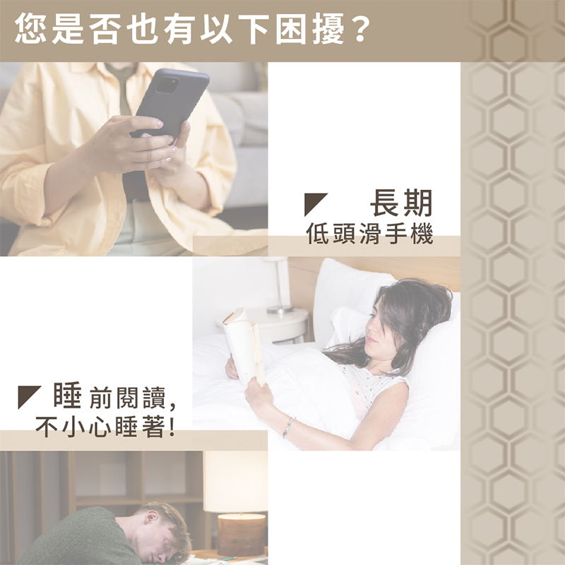 ［熊棉］高彈力6D石墨烯獨立筒枕, , large