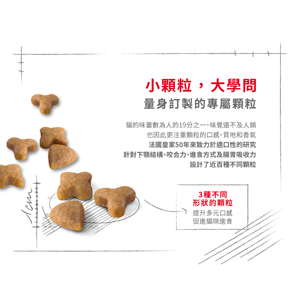 【Royal Canin法國皇家】腸胃敏感成貓專用乾糧S33, , large