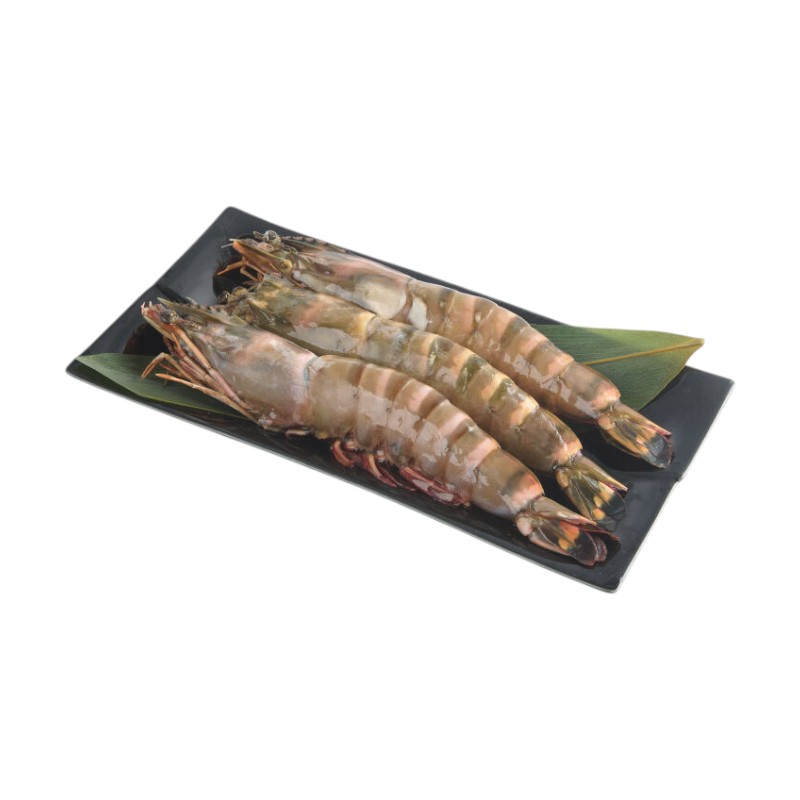 Black Tiger Shrimp, , large