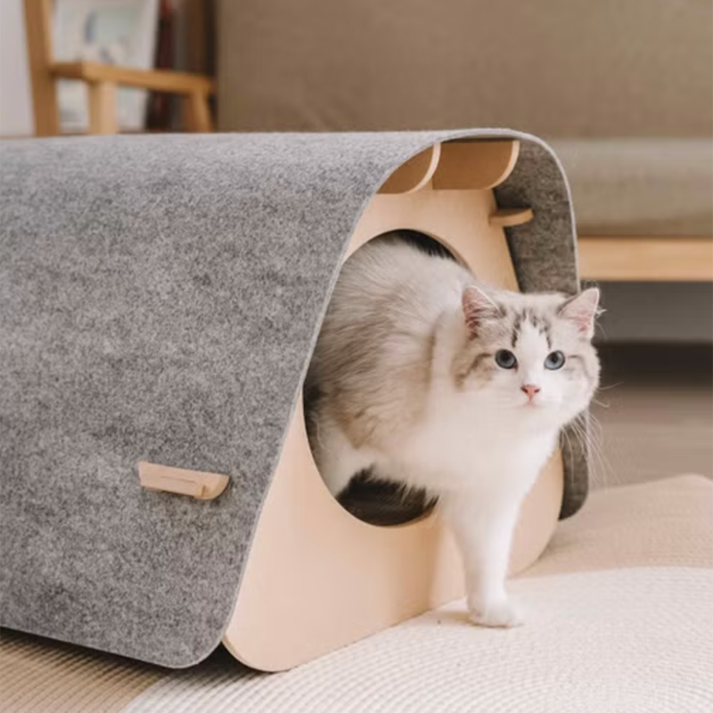 巢居易｜蜂巢紙貓屋, , large