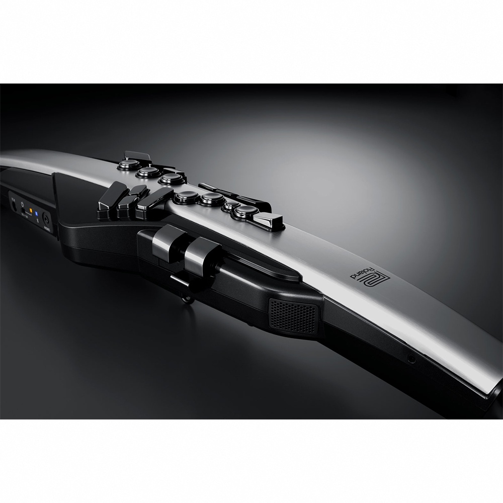 Roland AE-30 Aerophone Pro 數位吹管【敦煌樂器】, , large