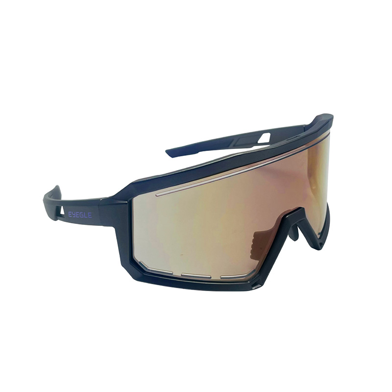 EYEGLE Viper Sunglasses EG-G009010 Grey, , large