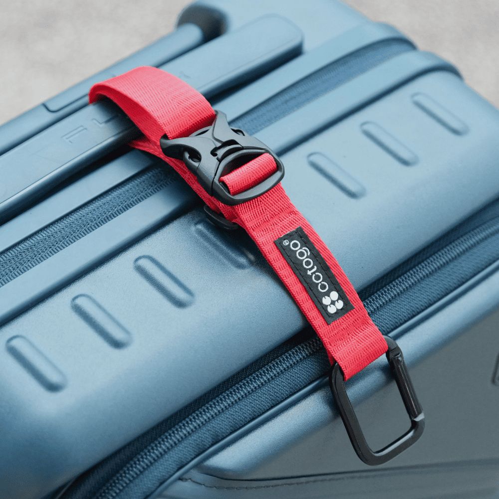 [cctogo]多功能掛釦 榴紅