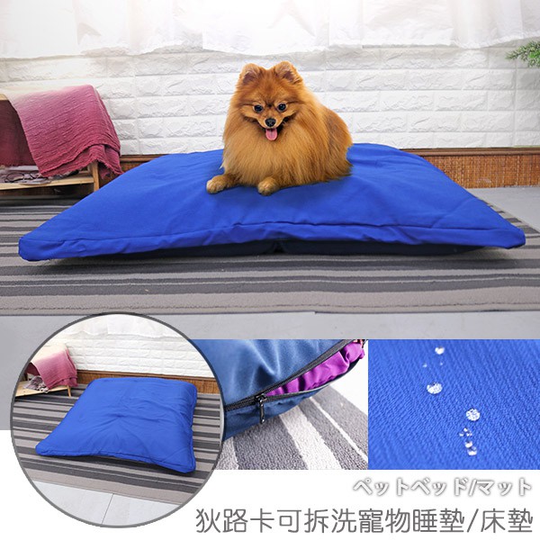 DiLuca removable and washable pet sleeping pad mattress, , large