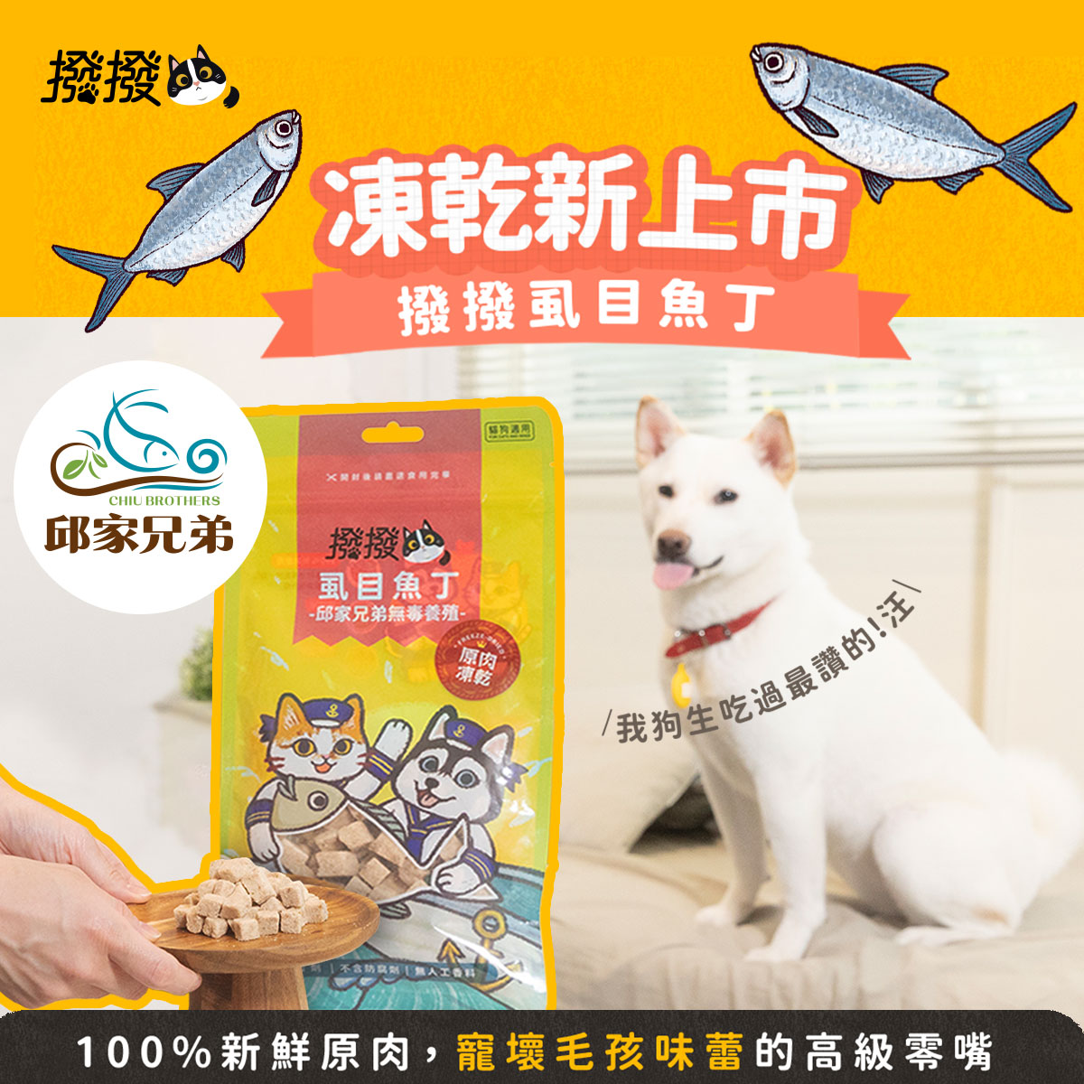 [撥撥] 虱目魚丁 - 邱家兄弟無毒養殖，貓狗適用原肉凍乾｜每包40g, , large