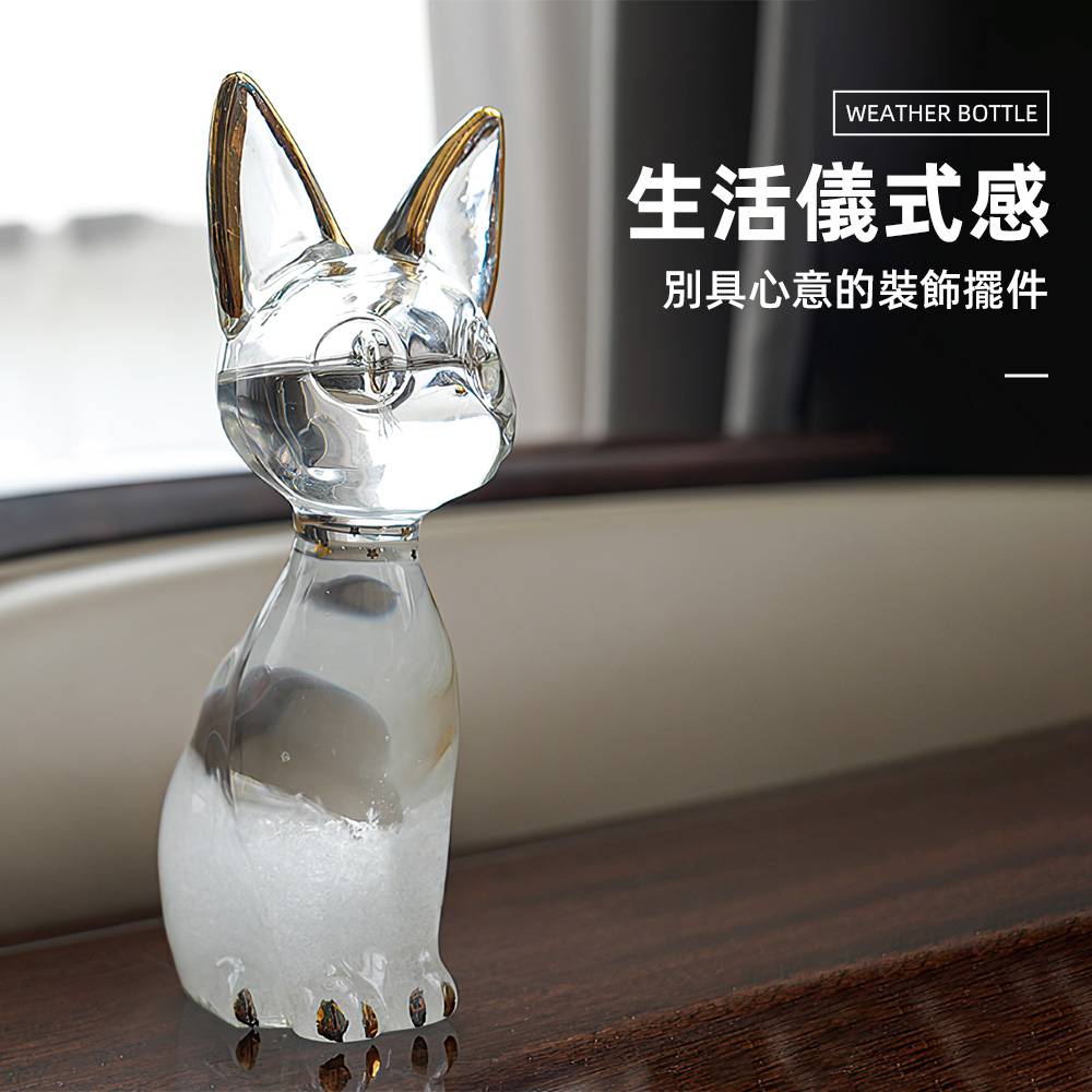 anderson-cat-weather-bottle, , large