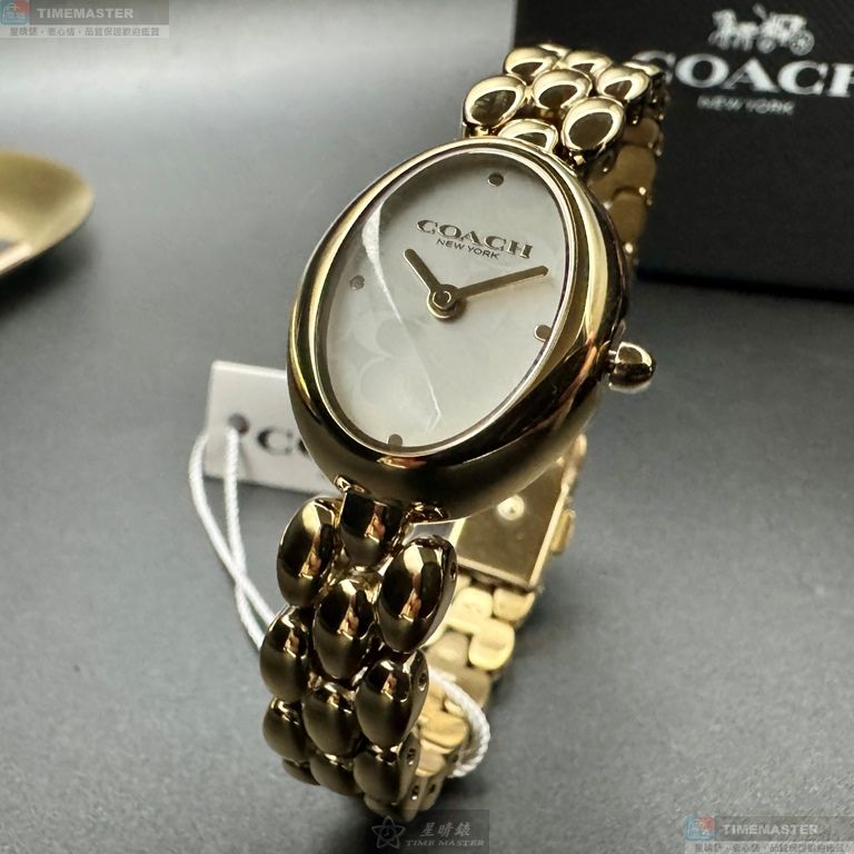 [TIMEMASTER] COACH watch, 22mm28mm, CH00262, , large