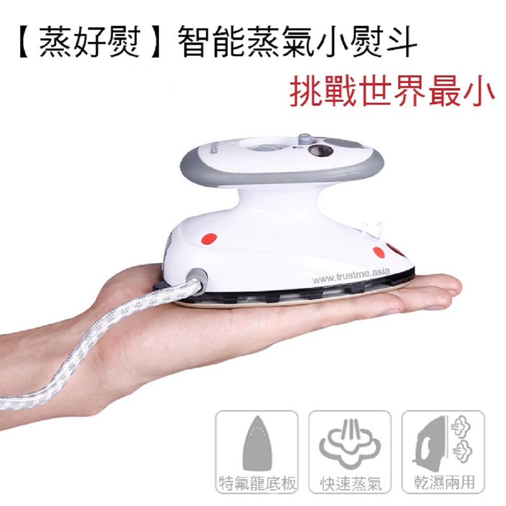 Mini steam iron