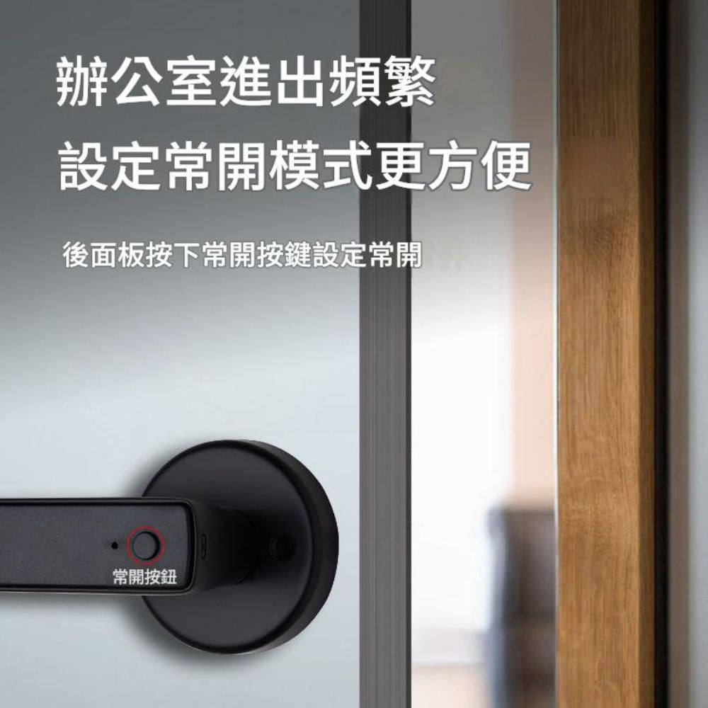 五合一智能指紋門把鎖/銀色, , large