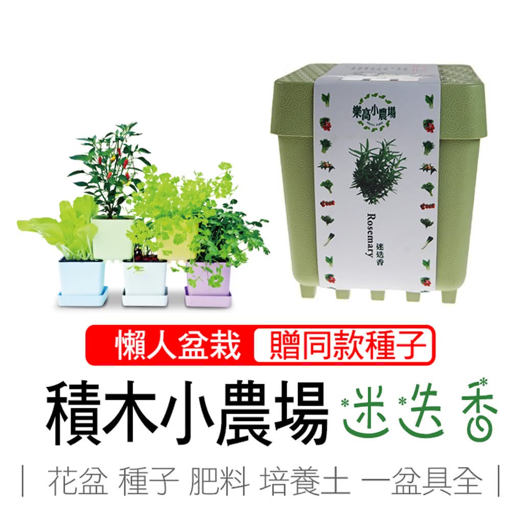 【心安購物】iPlant積木盆栽-迷迭香